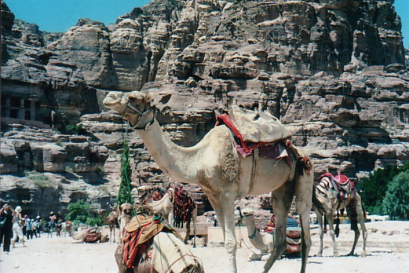 copy55_After the ride - Petra, Jordan